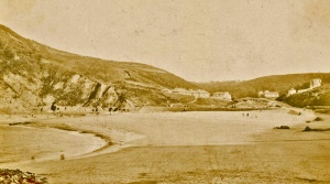 A 19th century silver print