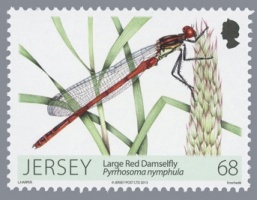 Dragonflies and Damselflies