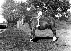 Maurice Le Cuirot c1932