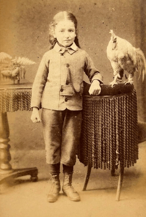 ... and another by W S Knight with a chicken ...