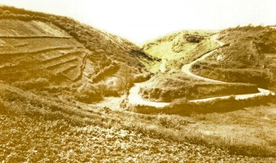 The hillside terraced at Bouley Bay for potato planting in 1919