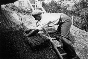 The thatched roof being laid