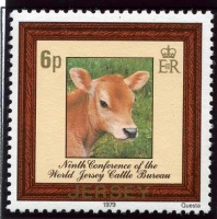 Cattle Bureau conference