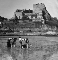 Razor fishing at Gorey