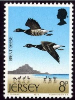 Seabirds