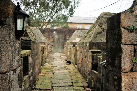 The impressive piggery