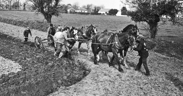 ...a 1982 demonstration of how things used to be