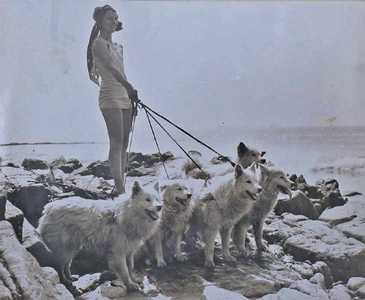 File:H25JSCAlbum1930s95Dogs.png