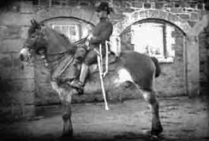 A picture by Albert Smith of a mounted officer at Fort Regent