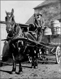 Horse at Hautes Croix