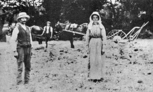 An early mechanical digger for lifting potatoes