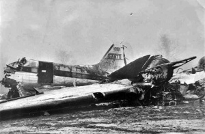 The plane nosedived after losing a wing