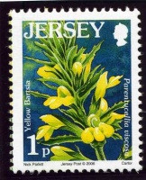 Wildflower definitives