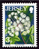 Wildflower definitives