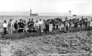 A plough drawn by six horses