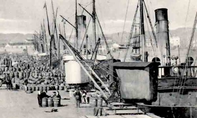 Loading potatoes for export