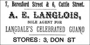 1881 advert