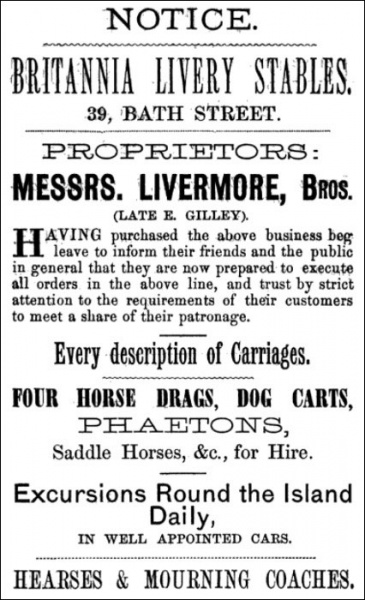 File:GM1881Advert49.jpg