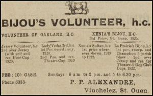 P P Alexandre was farming at Vinchelez in 1925 and advertised his bull Bijou's Volounteer in the Chronique de Jersey