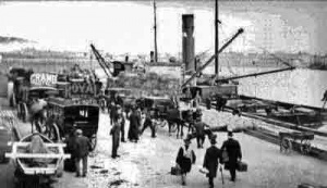 Buses at the harbour to collect arriving passengers