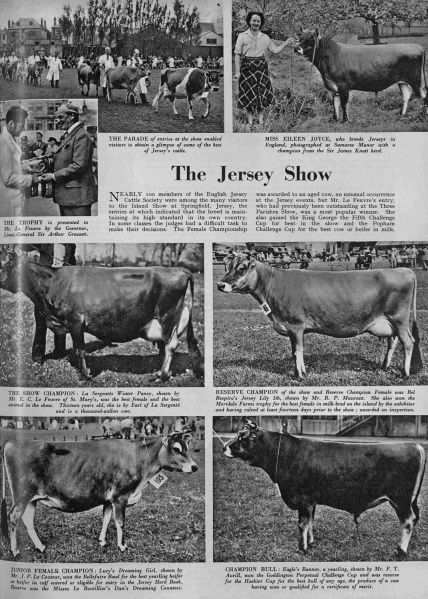 File:GM20SportingDramatic31051950CattleShow.jpg