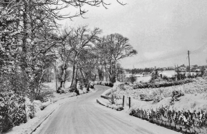 Trinity Main Road, 1962