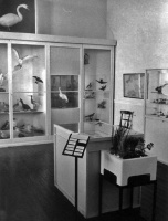 Natural History, 1976