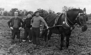 Clarry Le Breton of St Mary