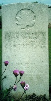 Allan Cyril Balleine,Nine Elms Military Cemetery, Thelus