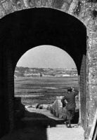 View from the castle towards West Park