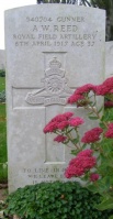 The grave of Great War casualty Albert William Reed at Warlincourt Halte British Cemetery, Saulty