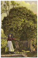 Before mains water spread across the parishes, roadside wells and pumps were the main source of water for many country dwellers