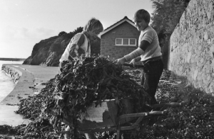 1976 - Jersey Evening Post photograph