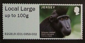 Durrell primates