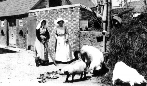 Farm ladies in the 19th century