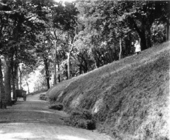 A Jersey country lane