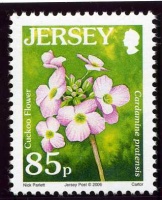 Wildflower definitives