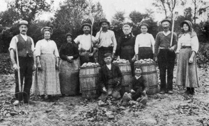 A team relaxes after lifting potatoes