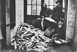 A good catch at Portelet in 1908