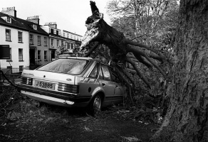 Jersey was caught by the tail end of a hurricane in 1987, and the strength of the wind and unusualy southerly direction caused widespread damage to trees and properties