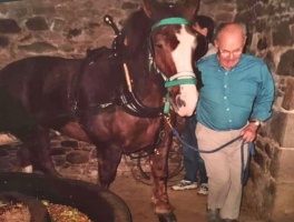 A horse working an indoor apple crusher