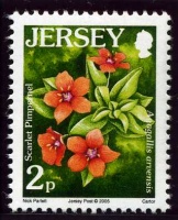 Wildflower definitives