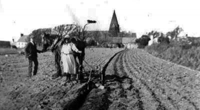 Planting at St Ouen