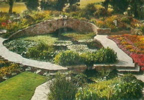 Haute Tombette carnation nursery