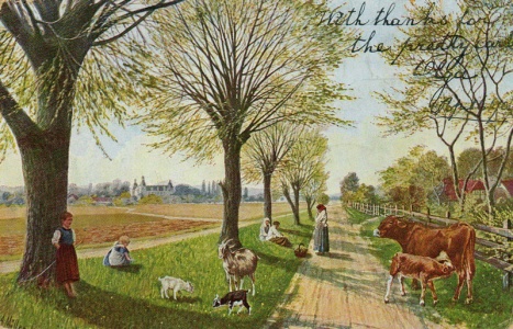 The front of the card