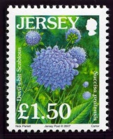 Wildflower definitives