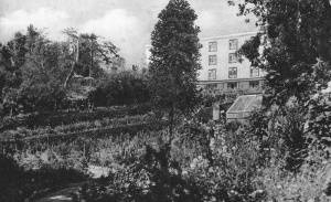 The hotel gardens