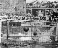 Water polo in the pool