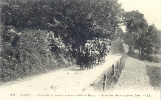 A carriage in a country lane