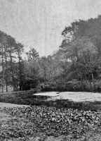 A picture taken by Mullins between 1862 and 1865